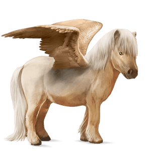 pegasový poník shetlandský pony palomino