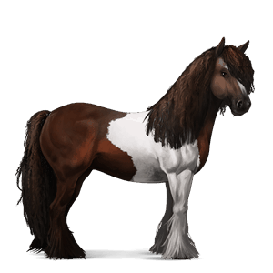 jazdecký kôň americký paint horse gaštanový tobiano