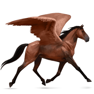 jazdecký pegas hannoverský kôň čierny ryšiak