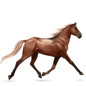 jazdecký kôň americký paint horse ryšiak tobiano