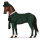 jazdecký kôň sfarbenie koňa vyšetrovateľ lestrade