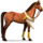 jazdecký kôň púšť