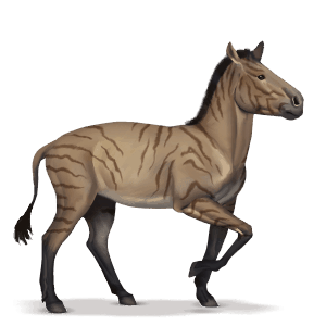 hipparion