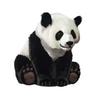 compagnonpanda